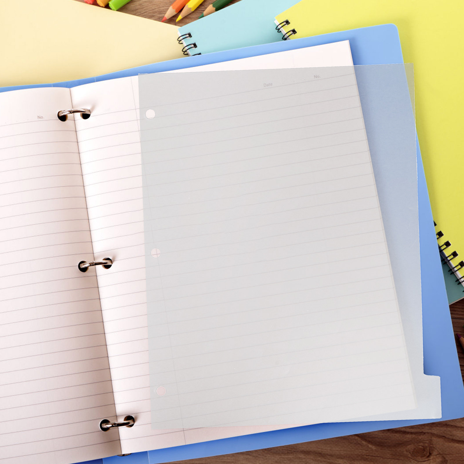 8Sheets Color-Coded Index Divi - Index Tab Divider ulasan dan harga