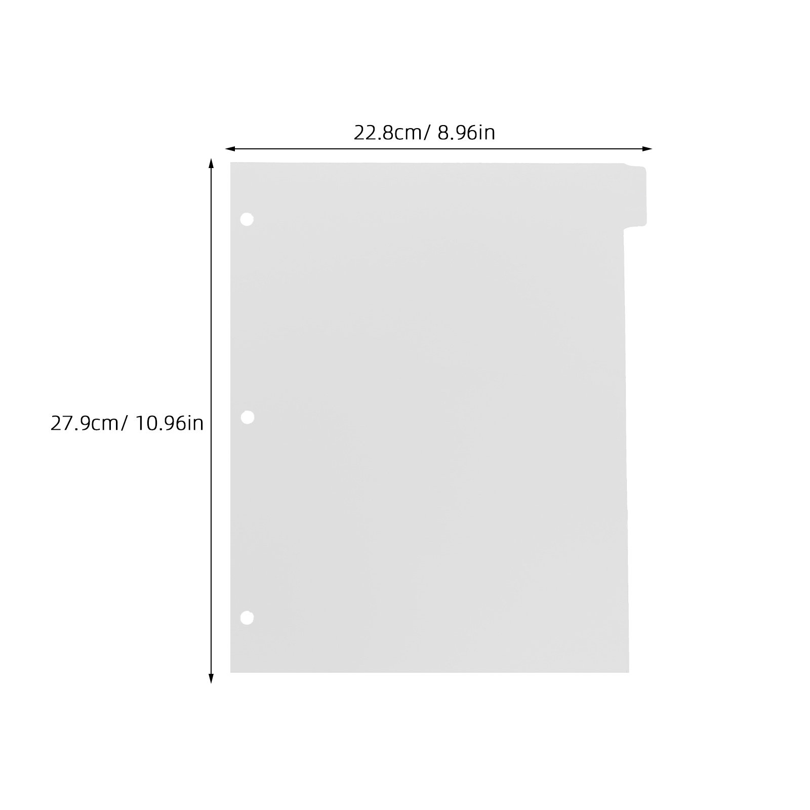8Sheets Color-Coded Index Divi - Index Tab Divider ulasan dan harga
