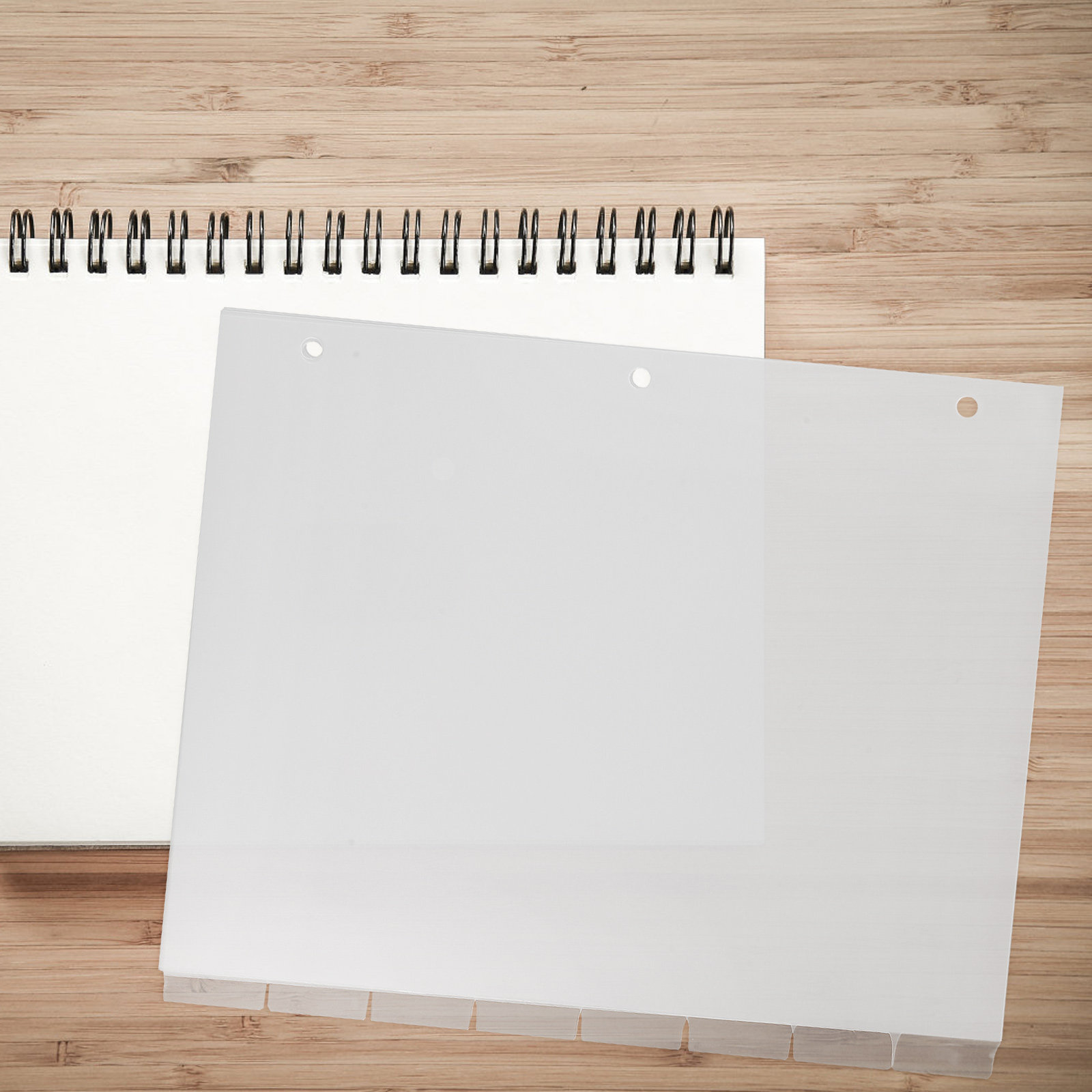 8Sheets Color-Coded Index Divi - Index Tab Divider ulasan dan harga